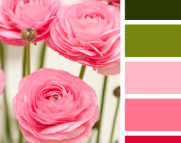 Bộ Color Palettes Hơn 30 Loài Hoa