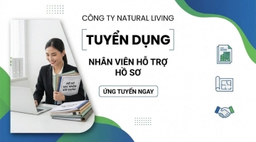 Tuyển nhân viên hỗ trợ hồ sơ xác nhận xây dựng - Công ty Natural Living