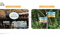 Đồ án thiết kế đồ họa - HV Hoàng Anh Thư - DKCN145