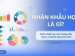 Nhân khẩu học là gì? Nhân khẩu học ảnh hưởng đến hành vi khách hàng trong Digital Marketing ra sao?
