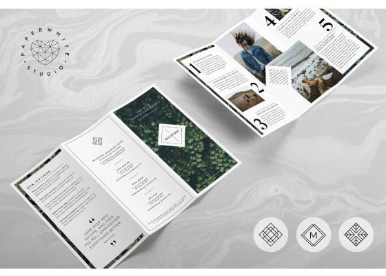 Tải Mẫu Thiết Kế Brochure Đẹp