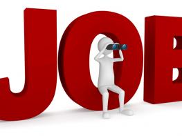 Việc làm thiết kế đồ họa 2D - Công ty Xuất Nhập Khẩu Mumuso